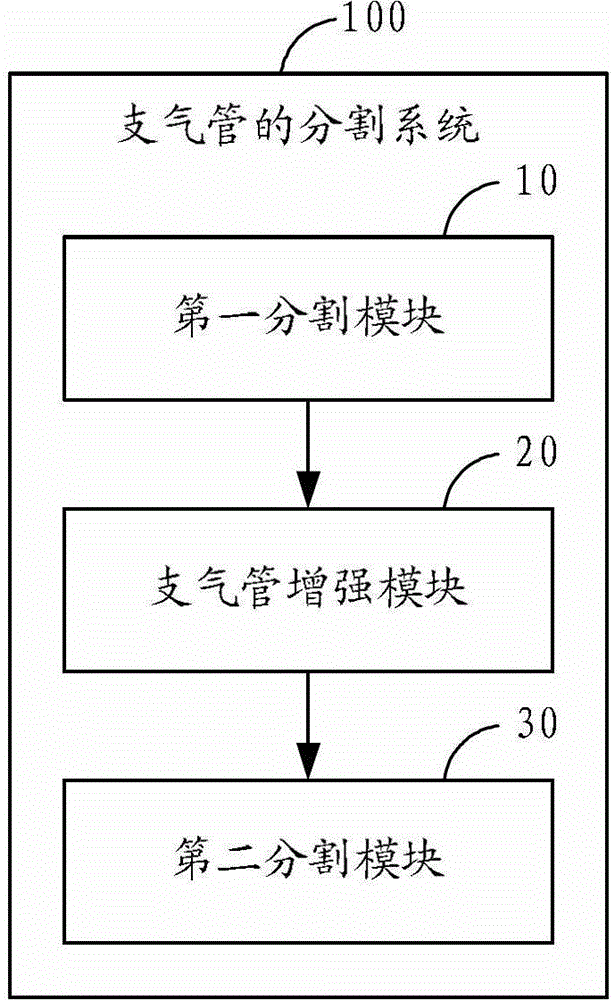 Bronchial division method and system