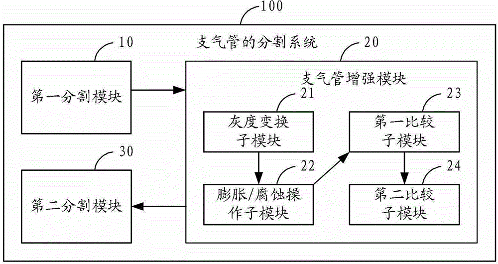 Bronchial division method and system