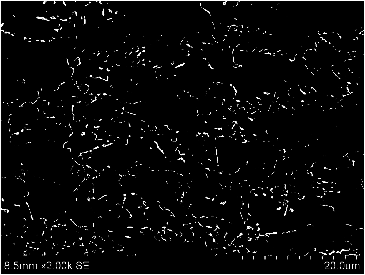 A kind of galvanized dual-phase steel and production method thereof