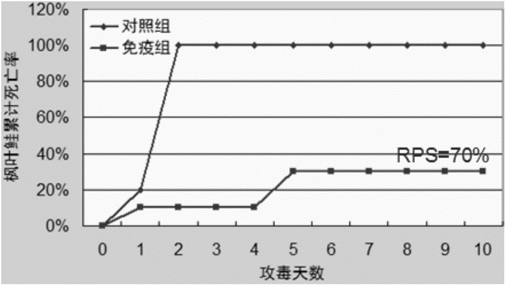 Aeromonas salmonicida inactivated vaccine and applications thereof