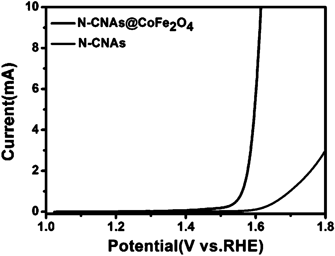 Nitrogen-doped carbon nano-array/ cobalt ferrite material