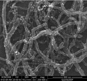 Method for controllably loading metal platinum on surface of multi-wall carbon nanotube through in-situ synthesis