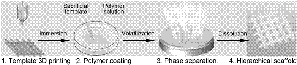 Preparation method of multistage-structure bionic vascular network tissue engineering stent