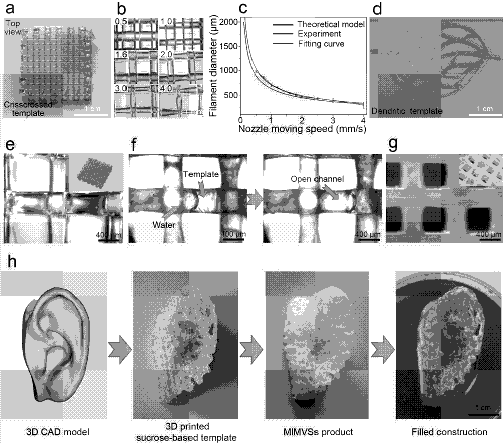 Preparation method of multistage-structure bionic vascular network tissue engineering stent