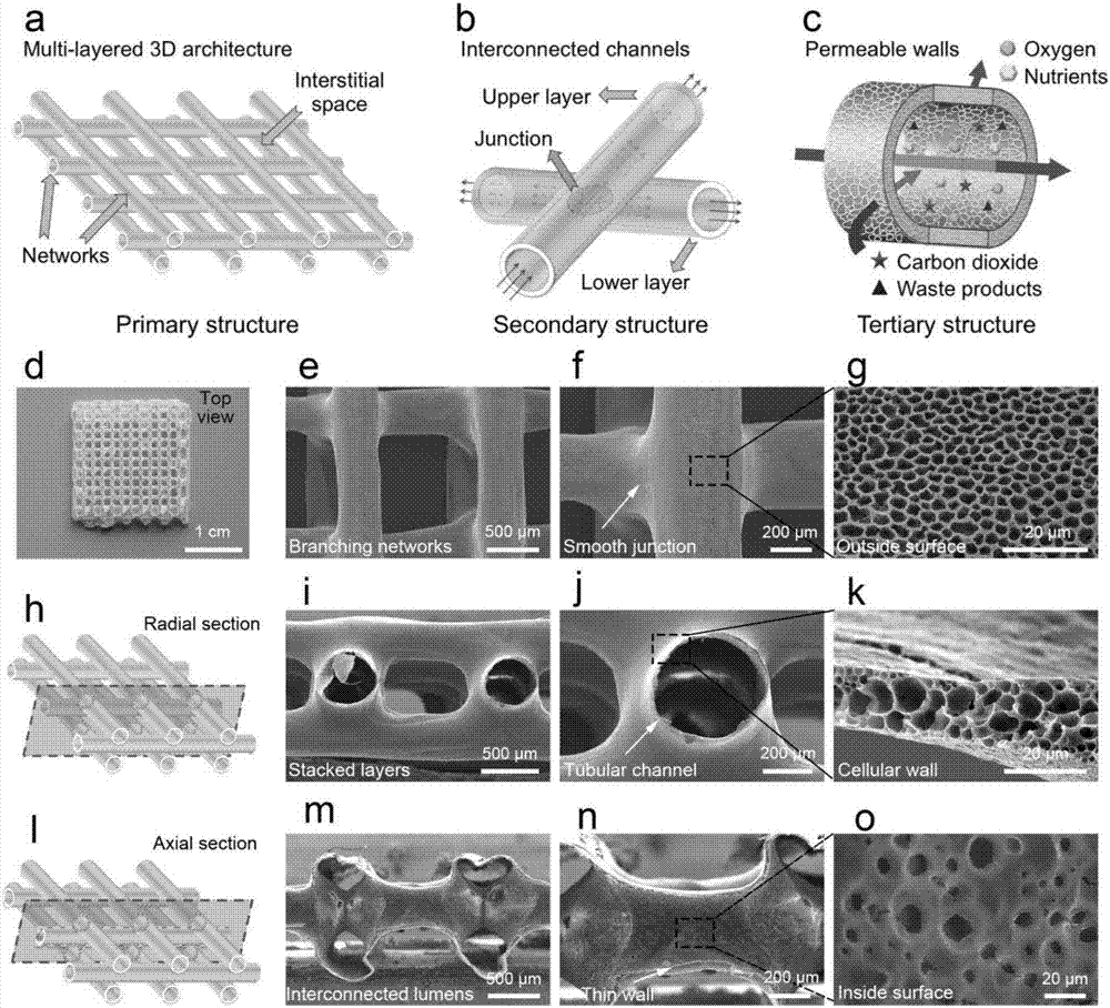 Preparation method of multistage-structure bionic vascular network tissue engineering stent