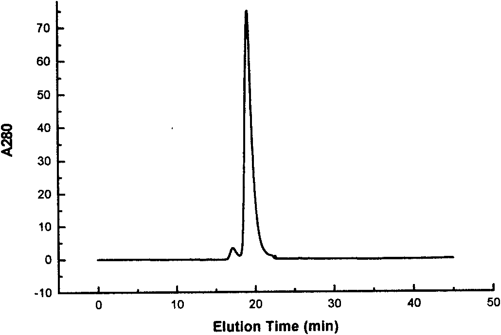 Nitrogen-terminal fixed-point coupling method for colony stimulating factor of column chromatography granulocyte and coupled product