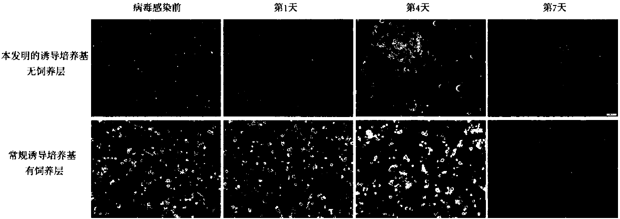 Mice-induced pluripotent stem cell induction culture medium without animal exogenous components