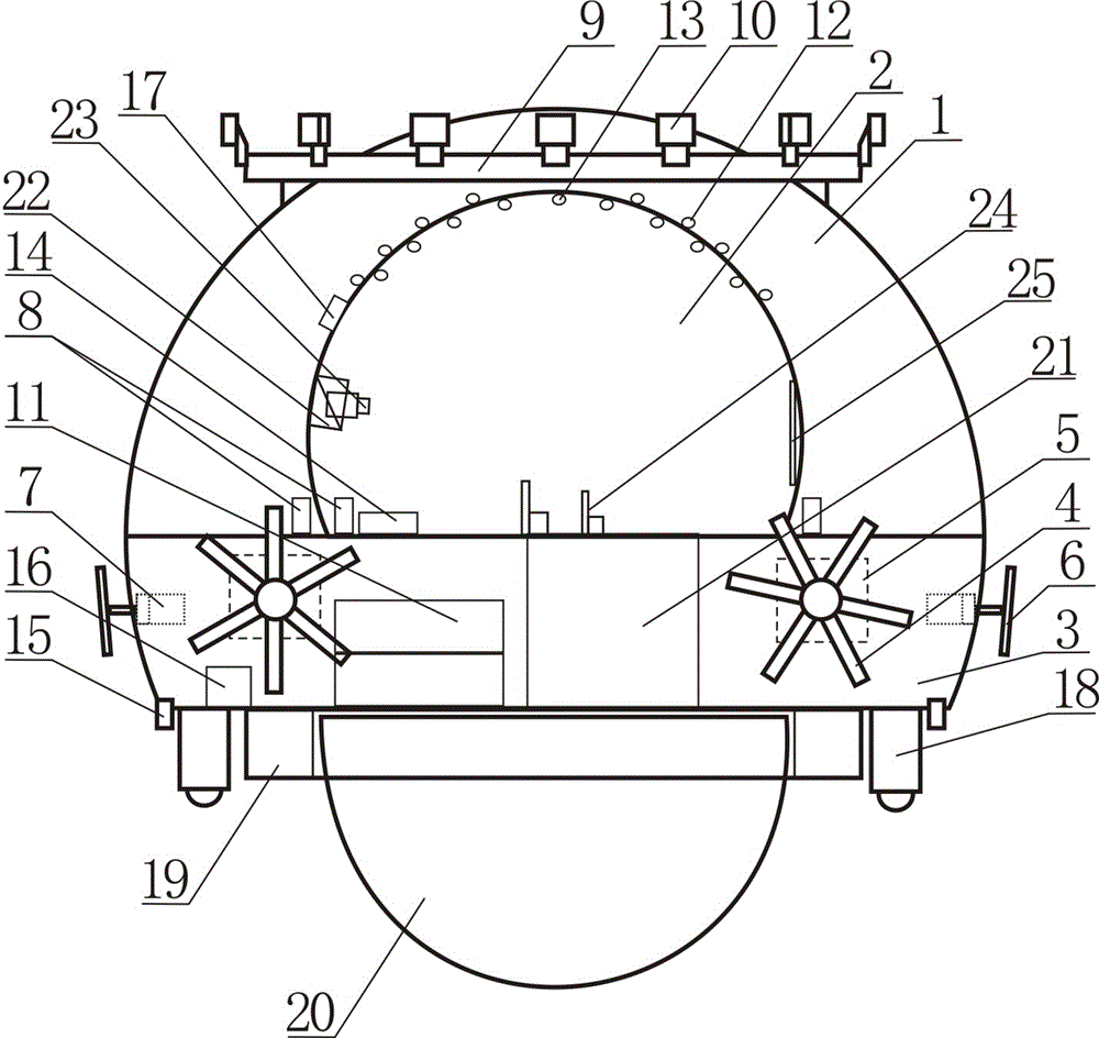 Underwater playing sightseeing device with video equipment