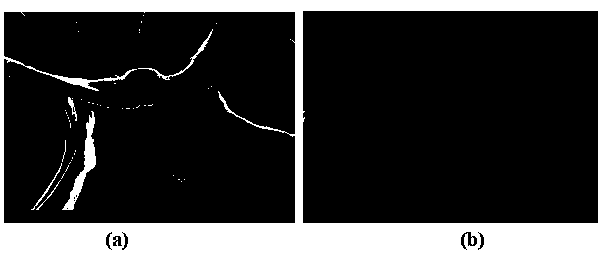 Method for preparing hydroxyapatite nanocrystals or microcrystals by using plant as template