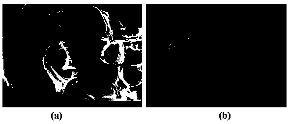 Method for preparing hydroxyapatite nanocrystals or microcrystals by using plant as template