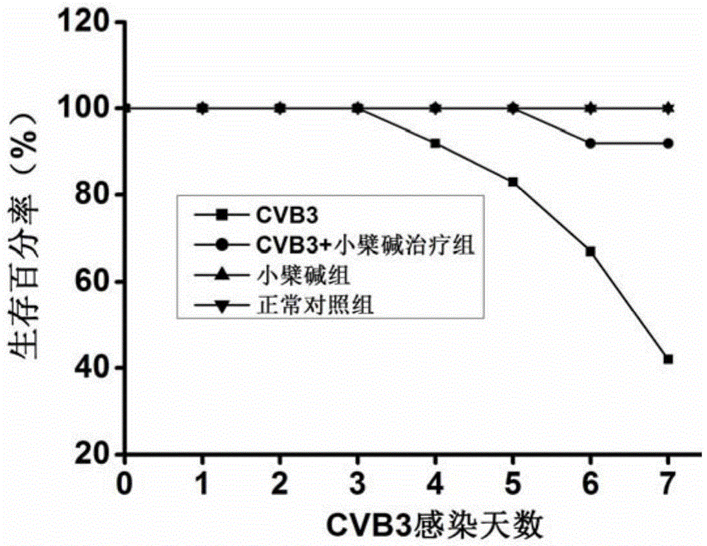 Application of berberine in preparing medicine for treating viral myocarditis caused by coxsackie virus b3