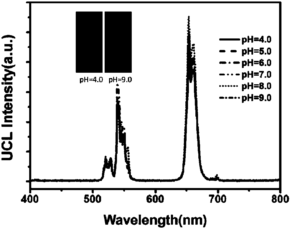 A kind of up-conversion nano-material that can respond to pH value and its preparation method