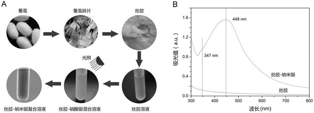 Method for environment-friendly in-situ synthesis of nano-silver by means of sericin and product