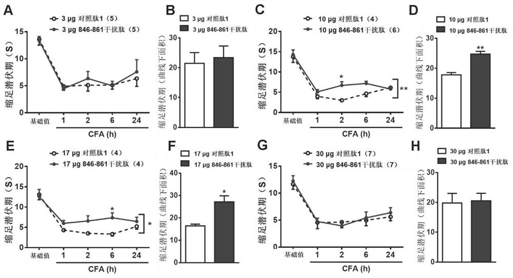 Small molecule peptide with analgesic effect and specific antibody thereof