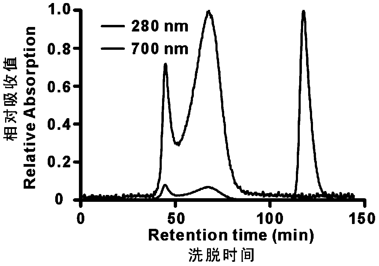 Polypeptide and nanometer particles thereof for promoting dendritic cells to take in antigen peptides and applications thereof
