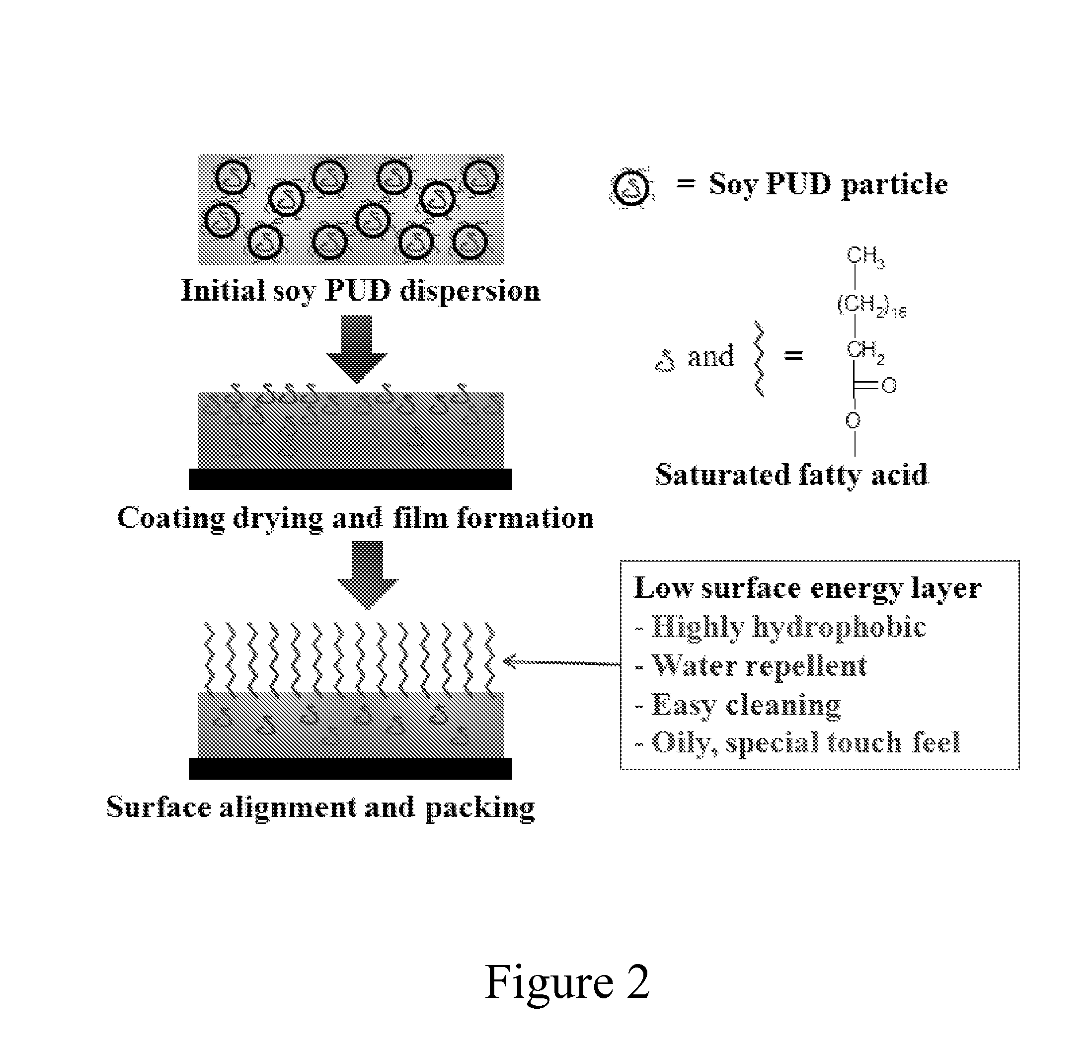 Vegetable Oil-Modified, Hydrophobic Polyurethane Dispersions
