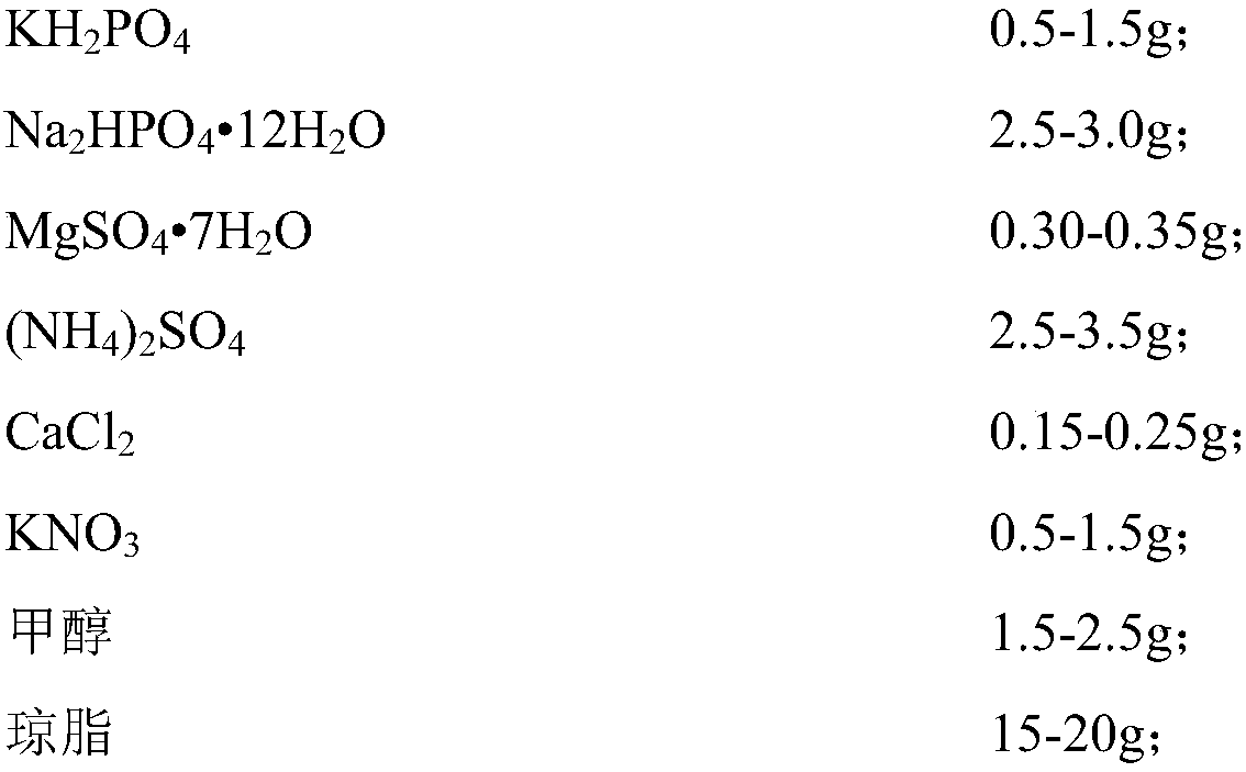 Azotobacter chroococcum and identification method and application thereof