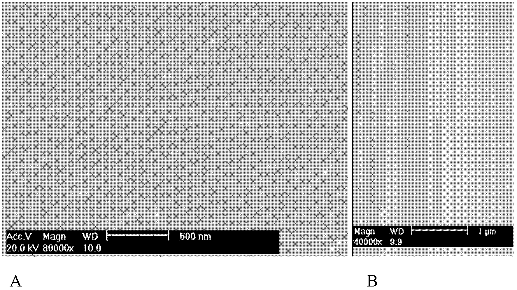 Method for preparing anodic alumina template by using plastic packaging process and application thereof