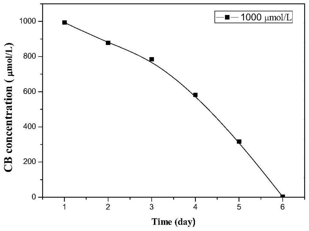 Microbacterium oxidans and its application in degrading organic pollutants