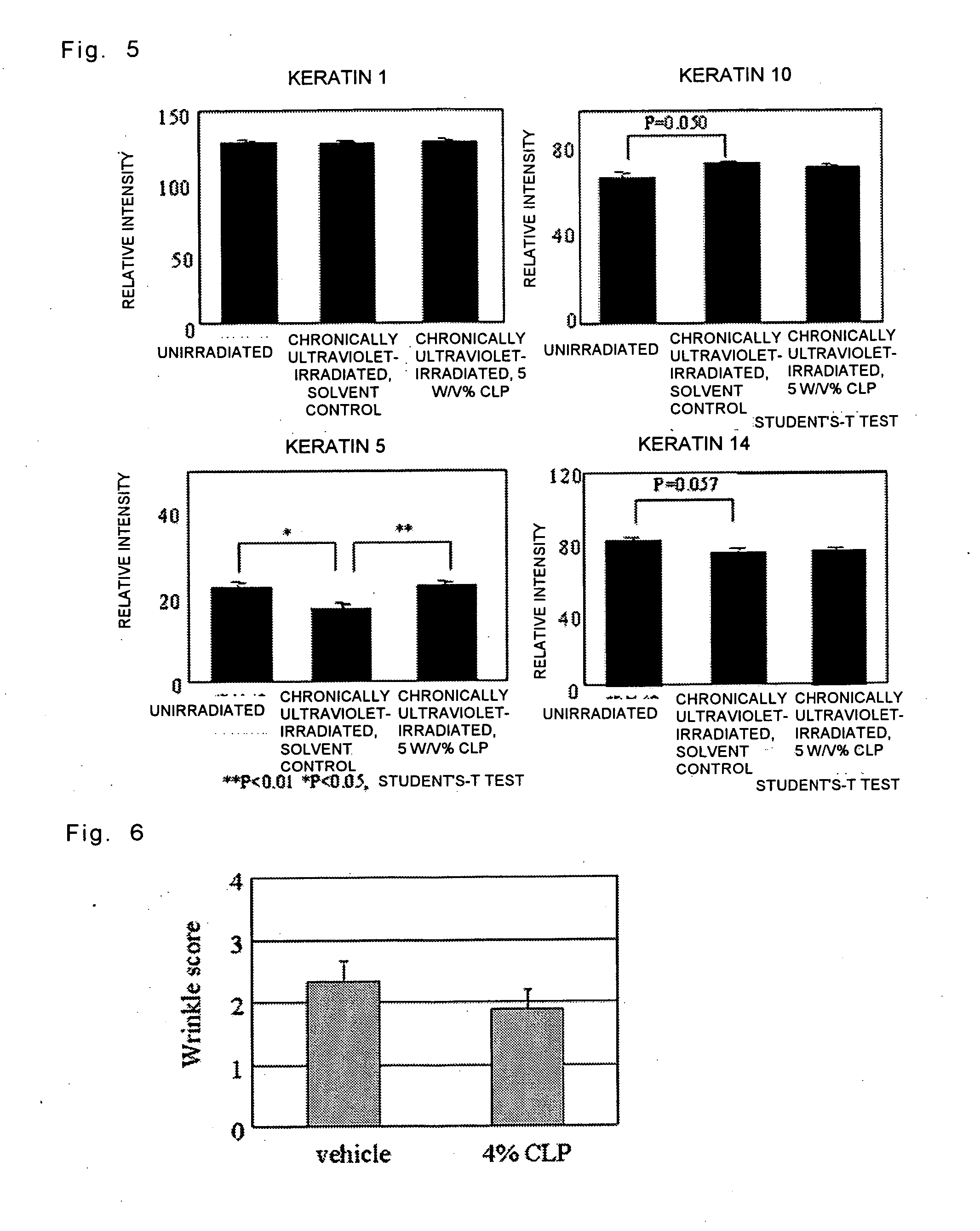 Method for screening an agent for preventing or ameliorating wrinkles