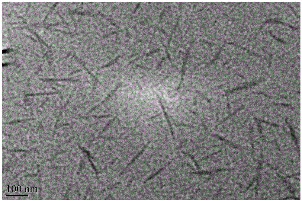 Preparation method of ramie bone cellulose nanocrystalline self-assembled structural color thin film