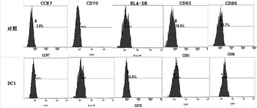 Kit for activating sarcoma specific immunity response