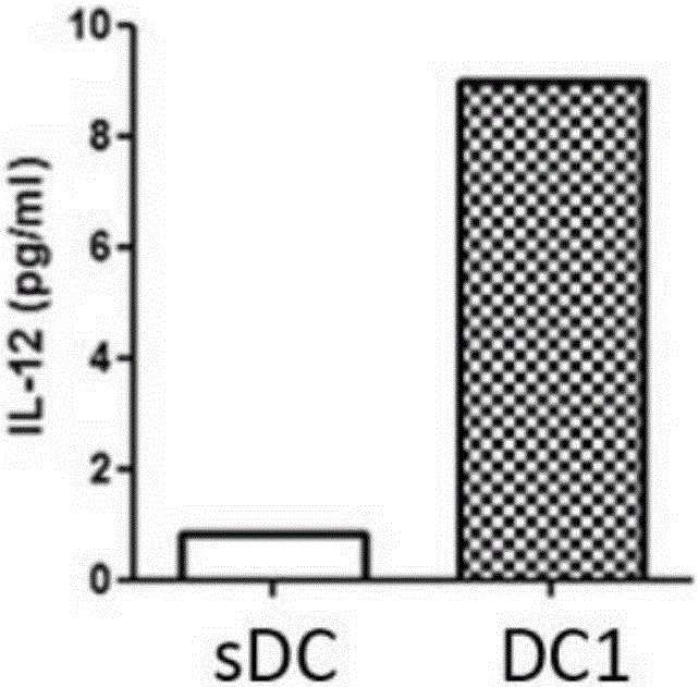 Kit for activating sarcoma specific immunity response