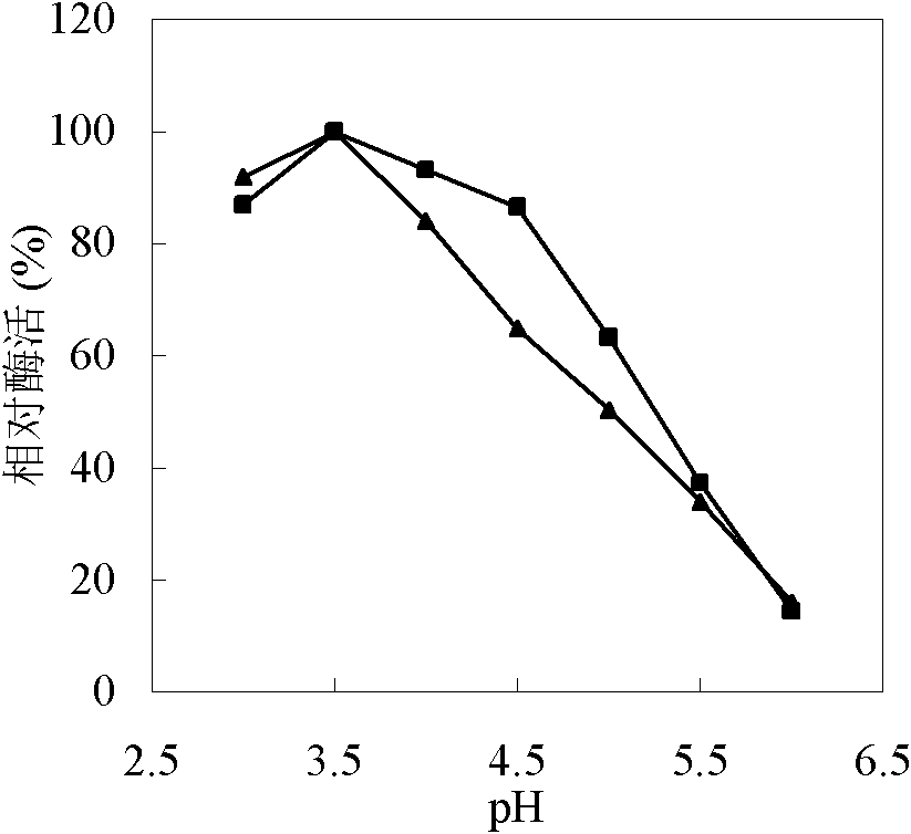 Method for preparing immobilized enzyme by taking bacterial cellulose bead/membrane as vector