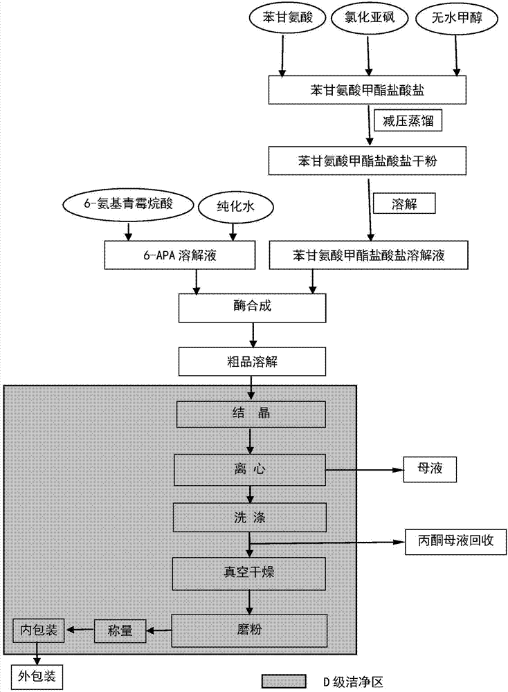 Ampicillin preparation technology by direct method