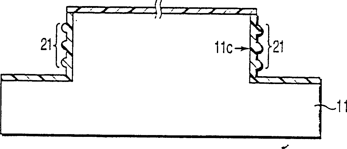 Holding device for treated body