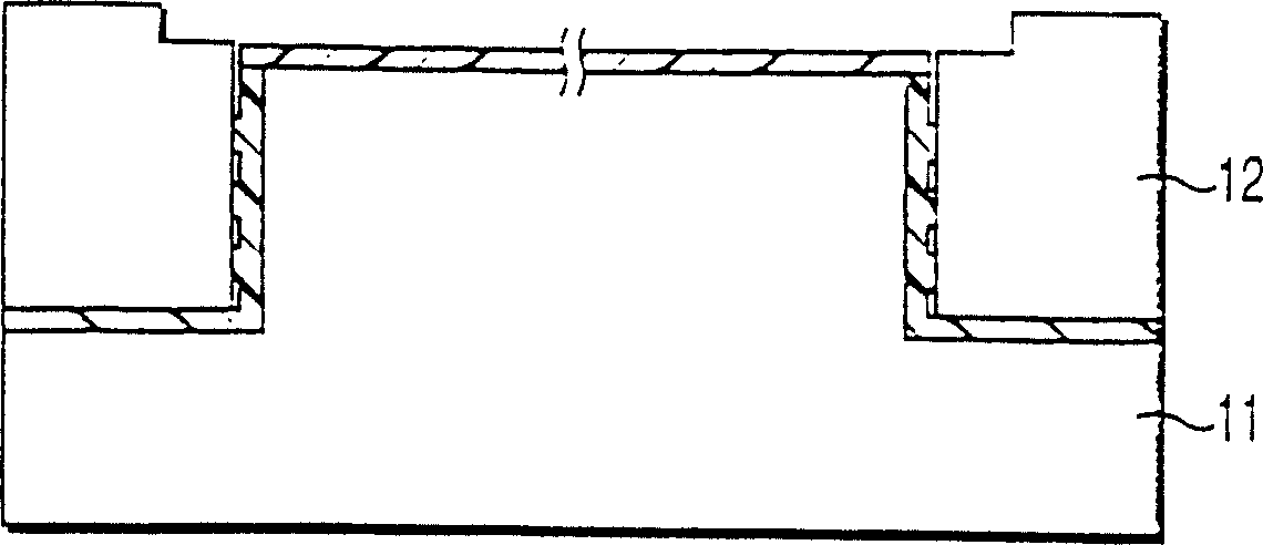 Holding device for treated body