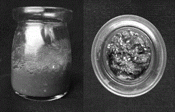 Sand ginger and cordyceps militaris-containing sauce and preparation method thereof