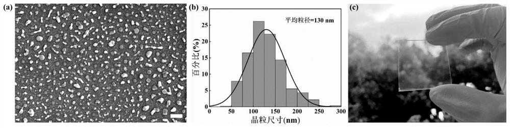 Preparation method of perovskite fluorescent anti-counterfeit structure and perovskite fluorescent anti-counterfeit label