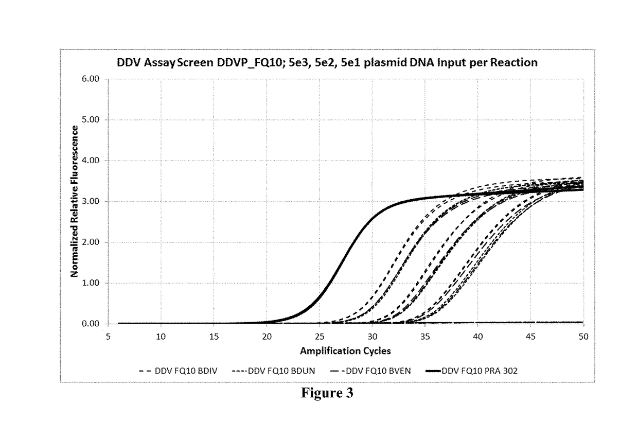 Compositions and methods for detection of babesia