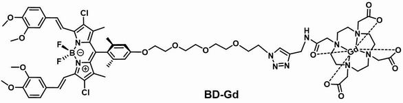 Preparation and application of boron dipyrromethene-gadolinium conjugate nano diagnosis and treatment reagent