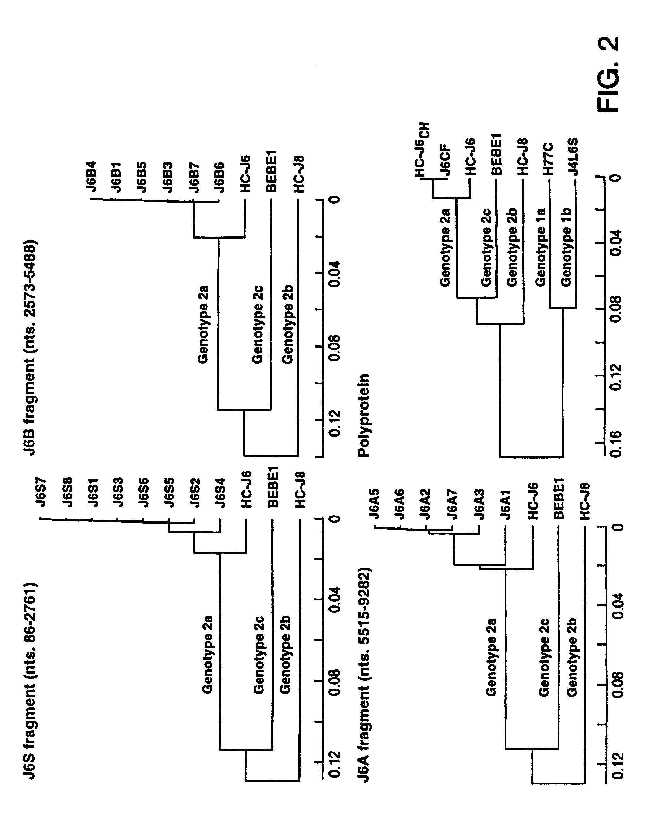 Cloned genome of infectious hepatitus C virus of genotype 2A and uses thereof