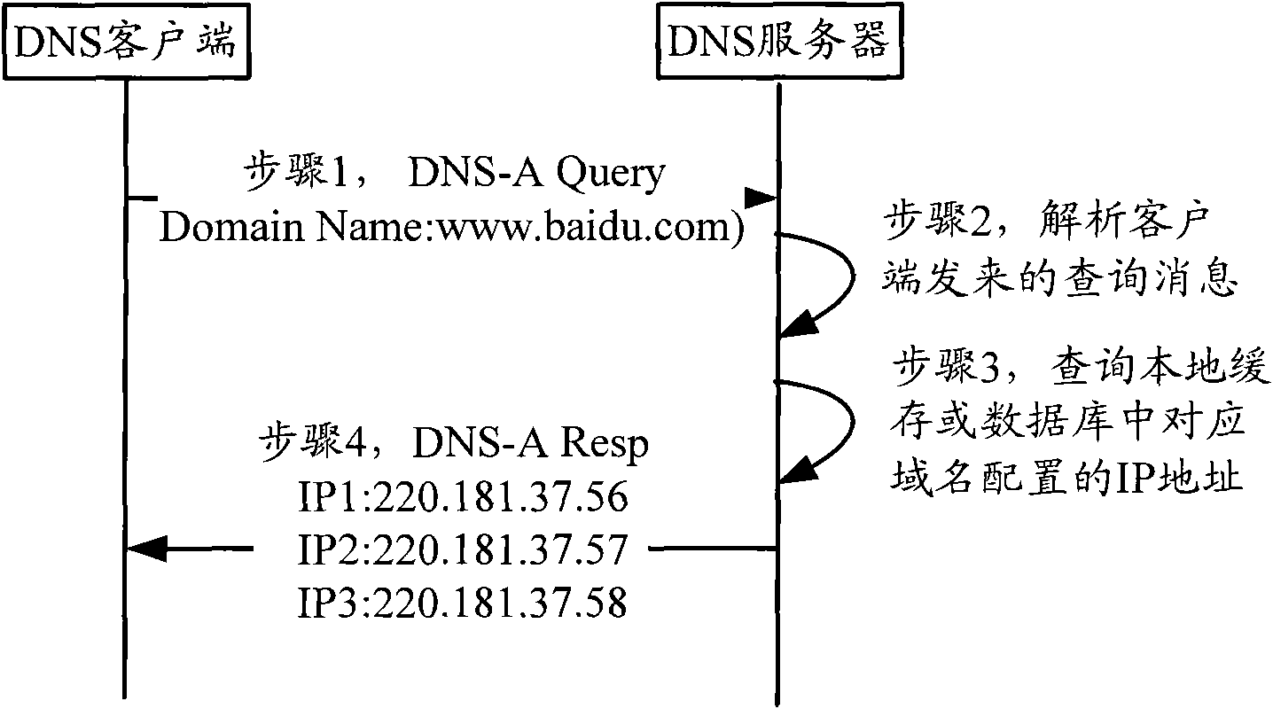 Network protocol address feedback method and domain name resolution server