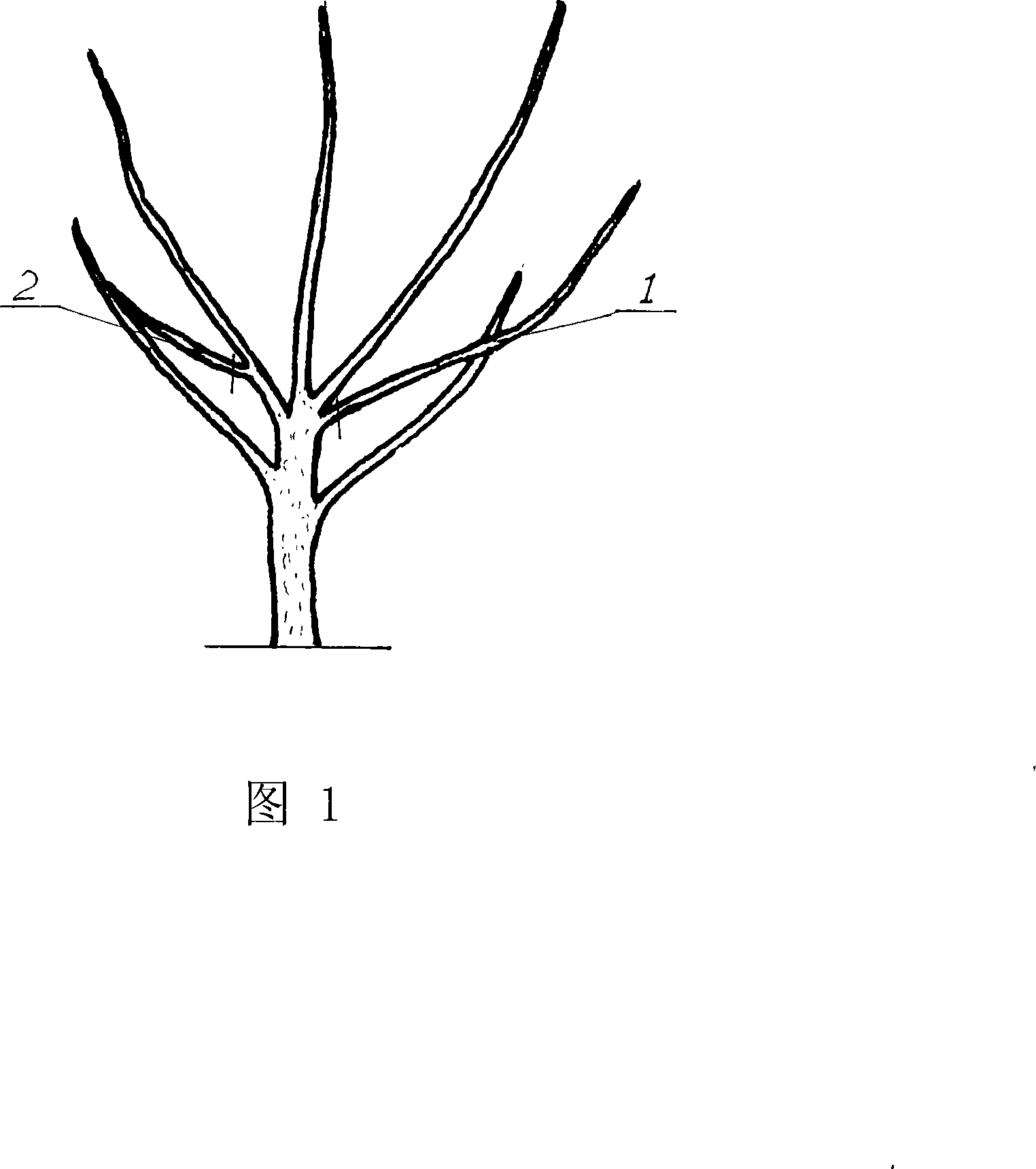 Method for planting fruit tree having different fruits at the same tree