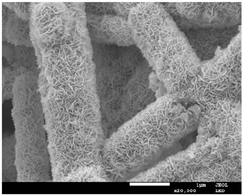 Preparation of nanometer carbon fiber supported halogen bismuth oxide photocatalyst, and applications of nanometer carbon fiber supported halogen bismuth oxide photocatalyst in solar energy nitrogen fixation