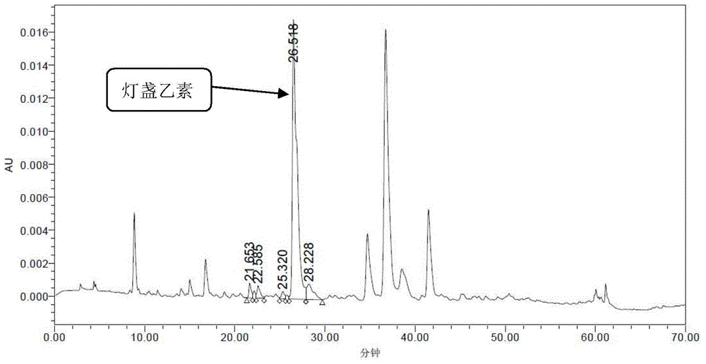 Scutellarin obtained from thymus plant