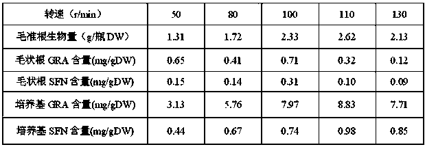 High glucoraphanin and sulforaphane synthesis and releasing cultivation method for Brassica oleracea L.var.italic Planch. hairy roots