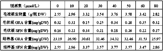 High glucoraphanin and sulforaphane synthesis and releasing cultivation method for Brassica oleracea L.var.italic Planch. hairy roots