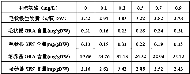 High glucoraphanin and sulforaphane synthesis and releasing cultivation method for Brassica oleracea L.var.italic Planch. hairy roots