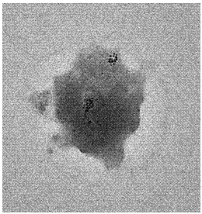Nanometer noble metal/POSS hybridized polymer micro sphere and preparation method thereof