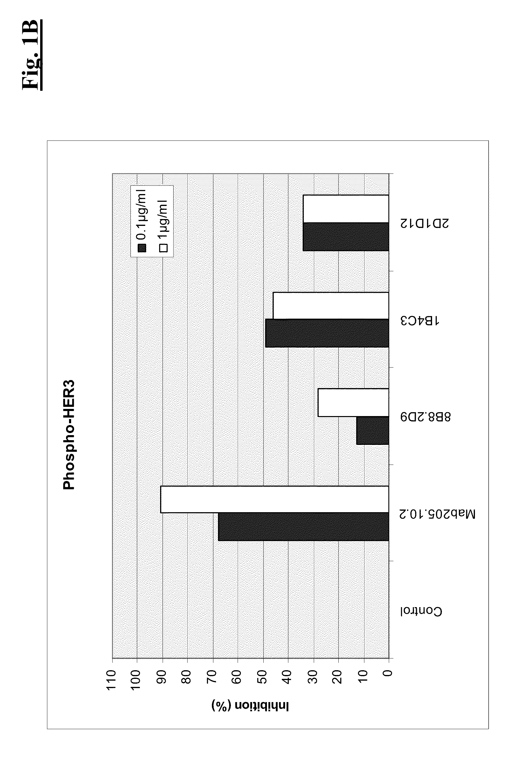 Combination therapy of anti-HER3 antibodies