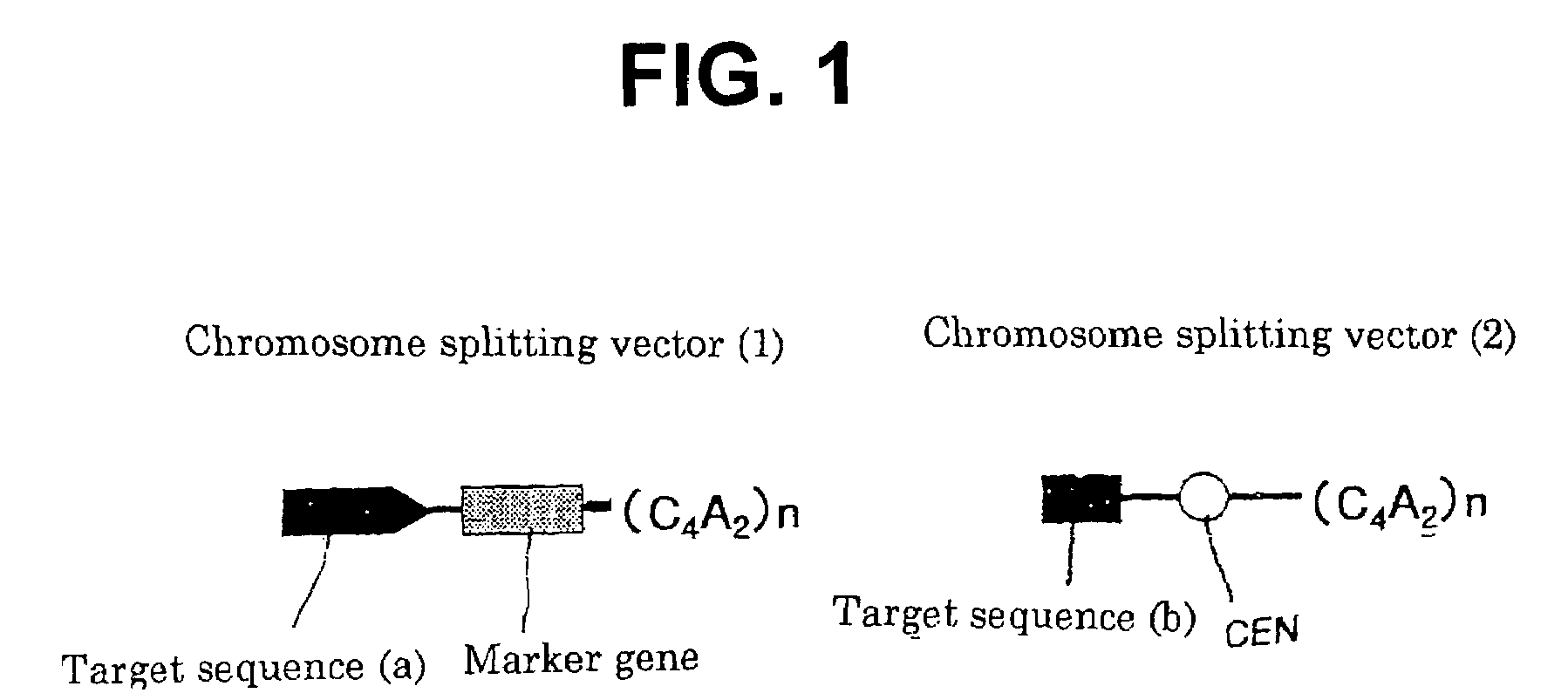 Method for modifying chromosomes