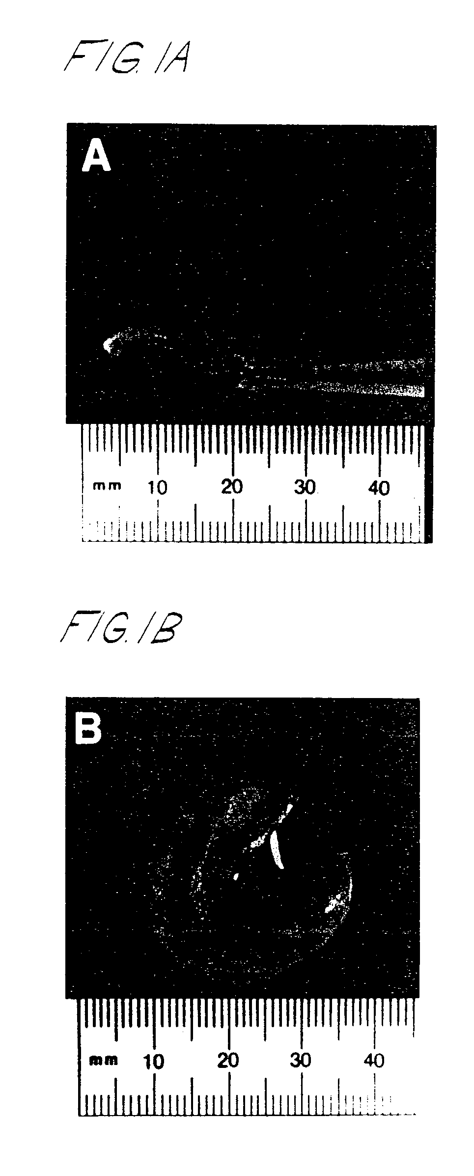 Cartilage composites and methods of use