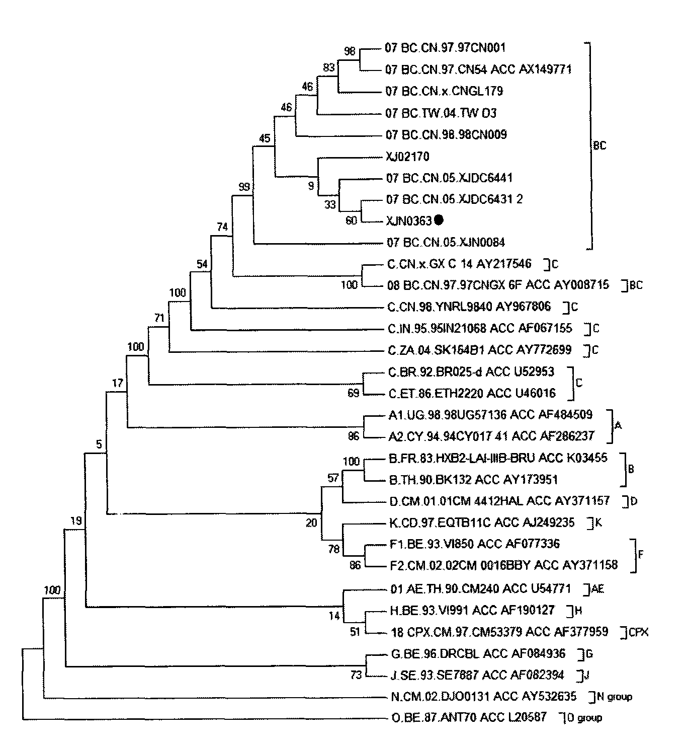 Chimeric simian/human immunodeficency virus strain and application thereof