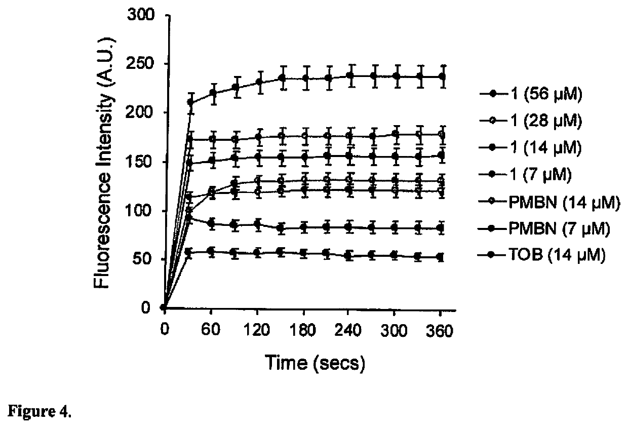 Homodimeric Tobramycin Adjuvant Repurposes Novobiocin as an Effective Antibacterial Agent Against Gram-Negative Bacteria