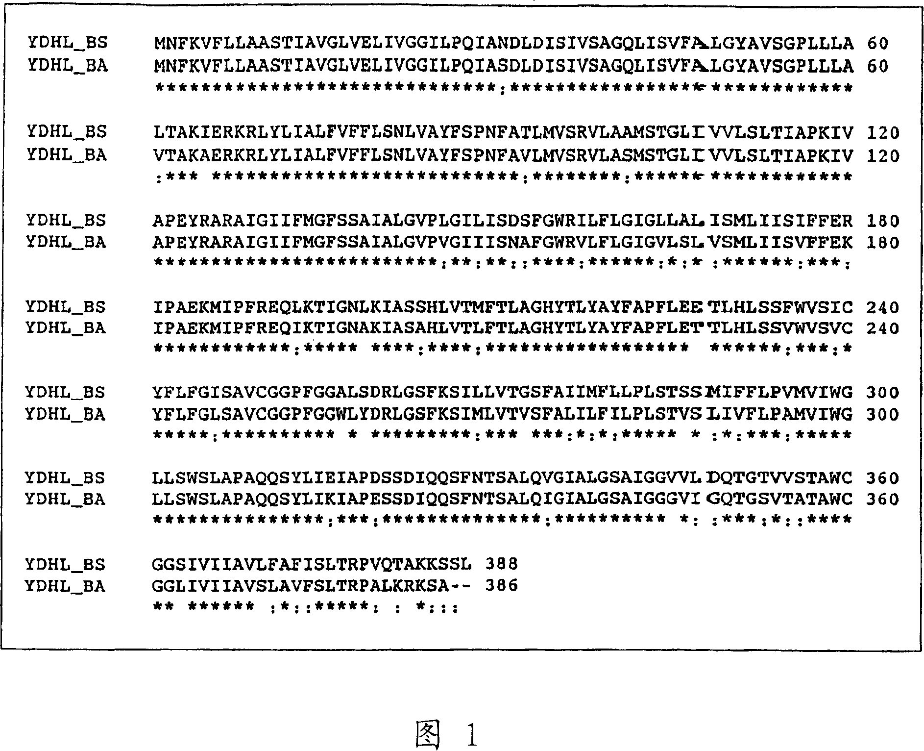 Method for producing purine nucleosides and nucleotides by fermentation using bacterium belonging to the genus bacillus or escherichia